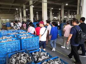 热烈欢迎玉立金华团队莅临工厂参观与技术交流